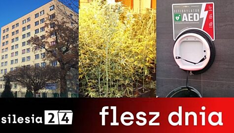Flesz dnia 4 listopada 2021