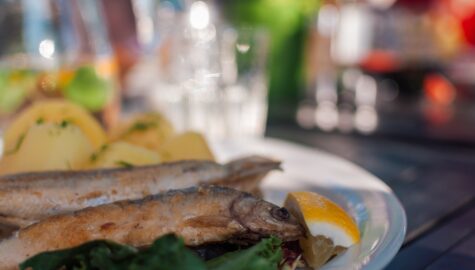 Fried fish 4366209 1920