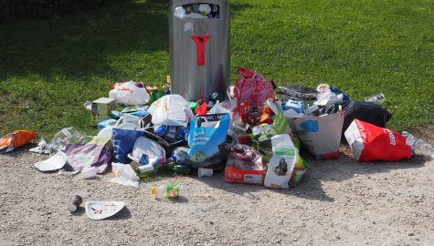 Garbage can gc1537edf0 1920