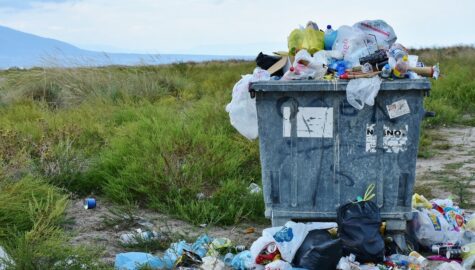 Garbage g0c6d315a2 1920