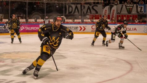 Gks katowice hokej