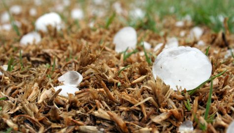 Hailstone gef5bf259a 1920