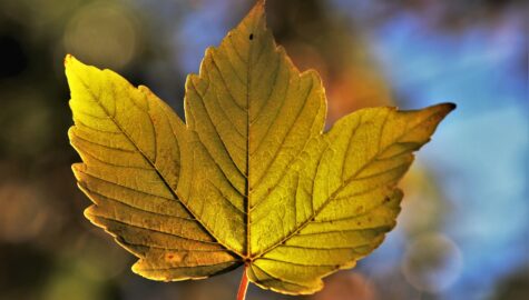 Hd wallpaper g6402e1e99 1920