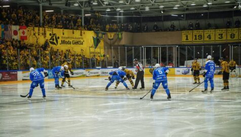 Hokeiści gks katowice