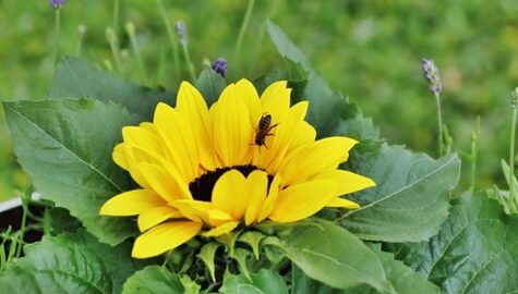 Img 0000 97