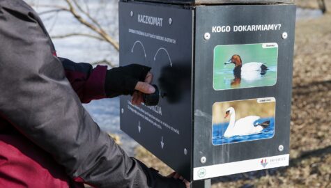 Jak pomagac dzikim zwierzetom zimą