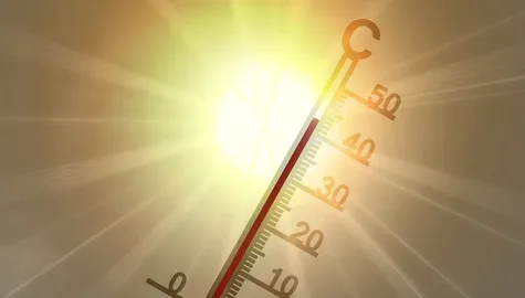 Jak przetrwac upały