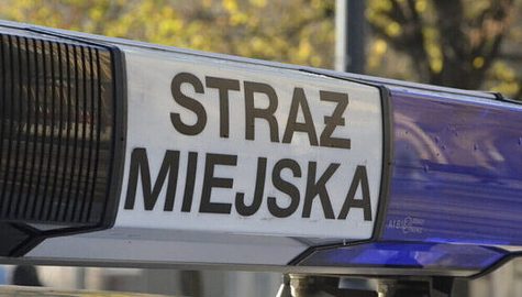 Jak zostać strażnikiem miejskim