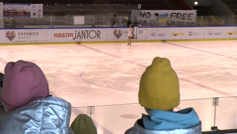 Jantormodziki