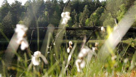 mazury zachodnie atrakcje 2024