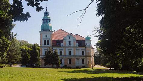 Kamieniecorl