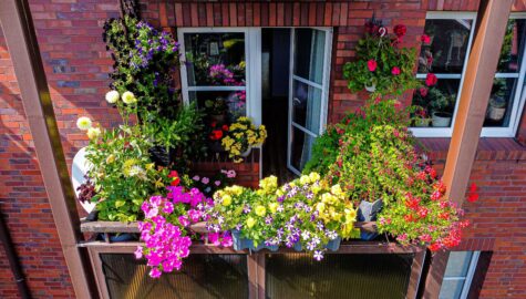 Konkurs na najpieknieszy katowicki balkon