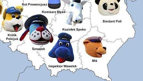 Mastkoki policji wojewodzkie