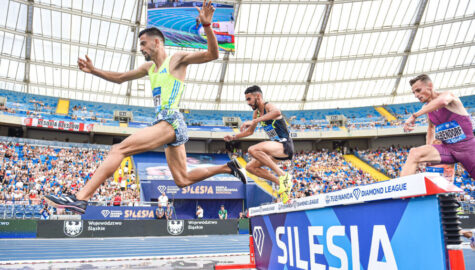 Memorial kamili skolimowskiej dojazd