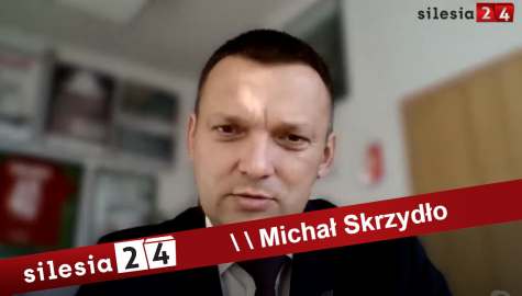 Michalskrzydlo