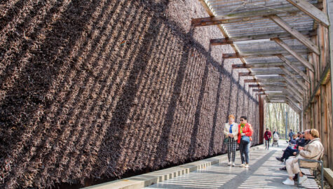 Modernizacje w parku Zadole