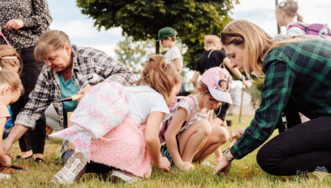 Narcyzy w parku slaskim