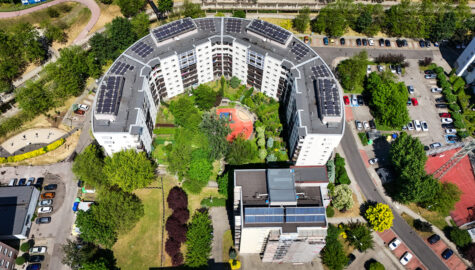 Nasadzenia katowice