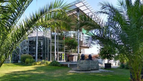 Palmiarnia w gliwicach