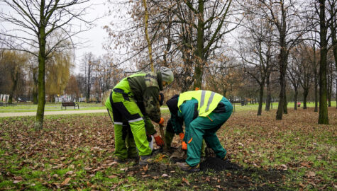 Park kosciuszki katowice