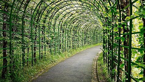 Pergola cmentarz tychy