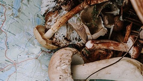 Pexels cottonbro 6034382