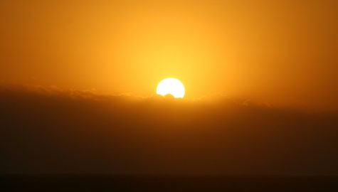 Pexels pixabay 68768