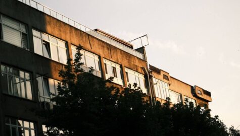 Piana pur na dachy proste