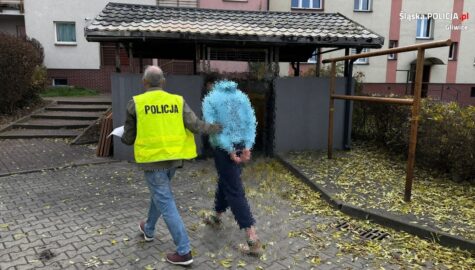 Podpalacz wiat smietnikowych