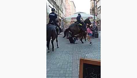 Policja konna staromiejska katowice