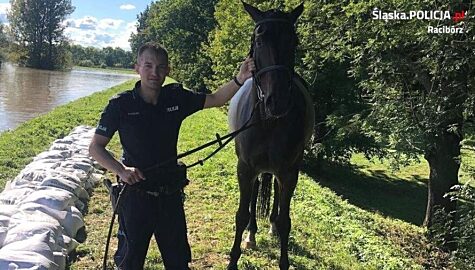 Policjanci uratowali konia