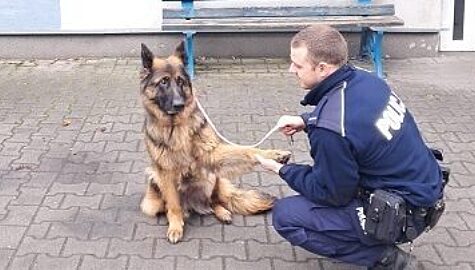 Policjant zaopiekowal sie psem