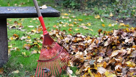 Rake gb924c6681 1280