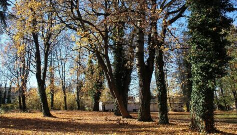 Rewitalizacja parku przy bielskim pediatryku