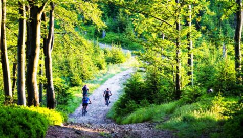Rowerowe szlaki czyli kolejowa majówka Trzy trasy które zachwycą Was w długi weekend