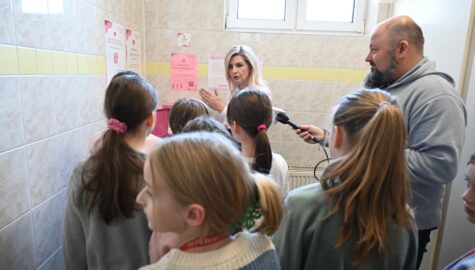 Rozowa skrzyneczka ruda slaska