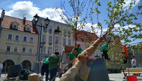 Rynek3