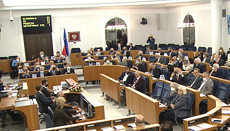 Senat