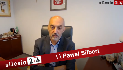 Silbertbelka