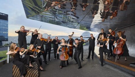 Slaska orkiestra kameralna