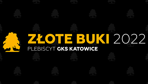 Slider zlote buki 1673898637 8637