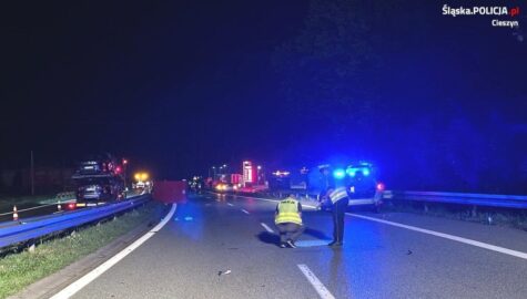 Smiertelne potracenie na dk81
