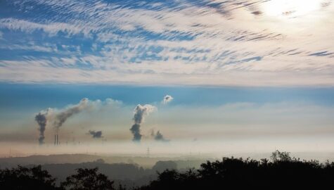 Smog caly rok