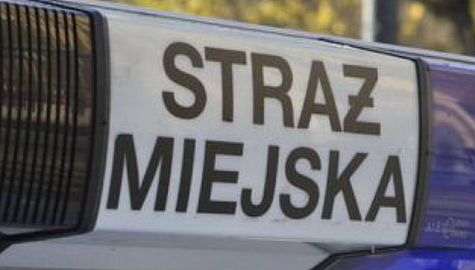 Strazkatowice