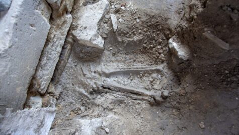 Szkielet pod kościolem w bytomiu