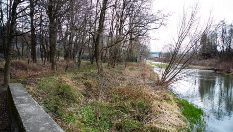 Tereny nad rzeka1