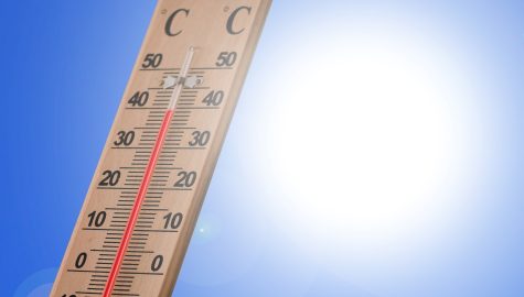 Thermometer g10cdaeded 1920