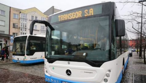 Transgor