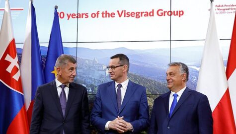 Videgrad group babisz