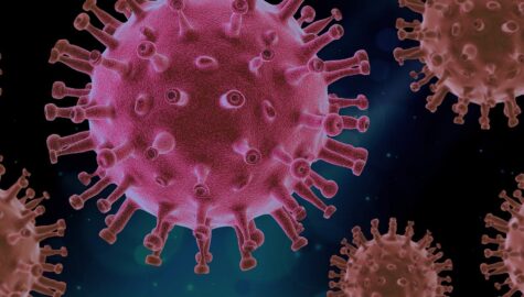 Virus 4937553 1920